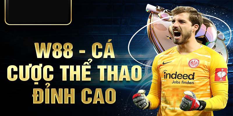 Thông tin sơ lược về sảnh thể thao